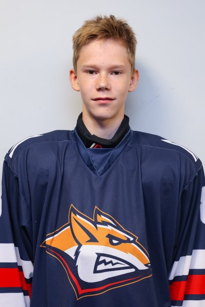 Поздышев  Аркадий  Андреевич