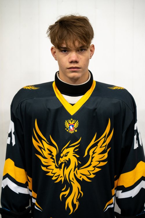 Соловьев  Максим  Сергеевич