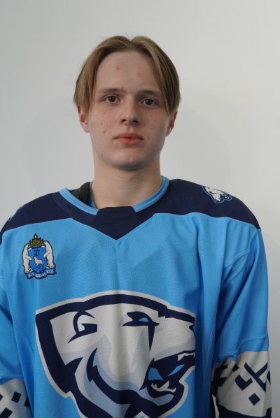 Уткин  Михаил  Игоревич