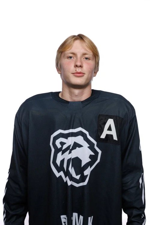 Николаев  Лев  Александрович