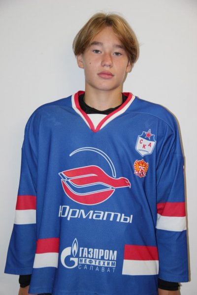 Аминов  Роман  Ильгизович