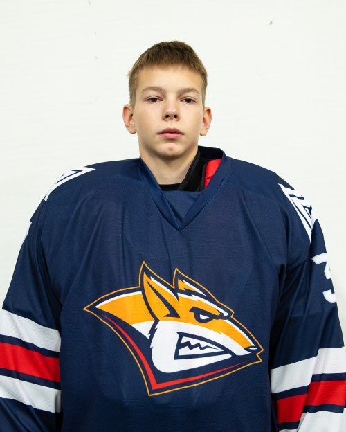 Копылов  Дмитрий  Михайлович