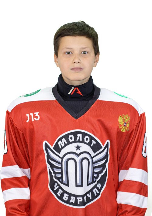 Волынский  Дмитрий  Алексеевич