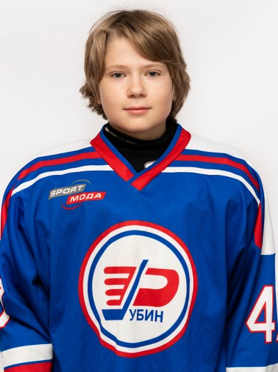 Ильин  Лев  Иванович