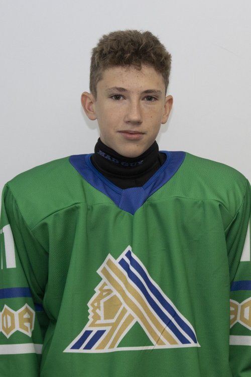 Лебедев  Даниил  Денисович