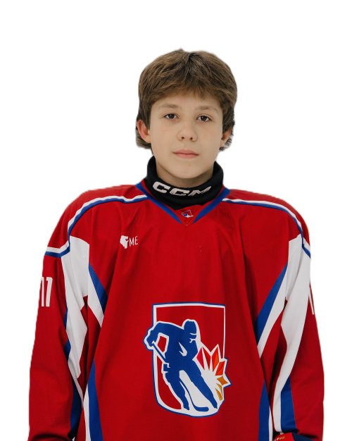 Логинов  Максим  Александрович