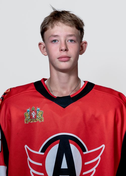 Чесноков  Аркадий  Романович