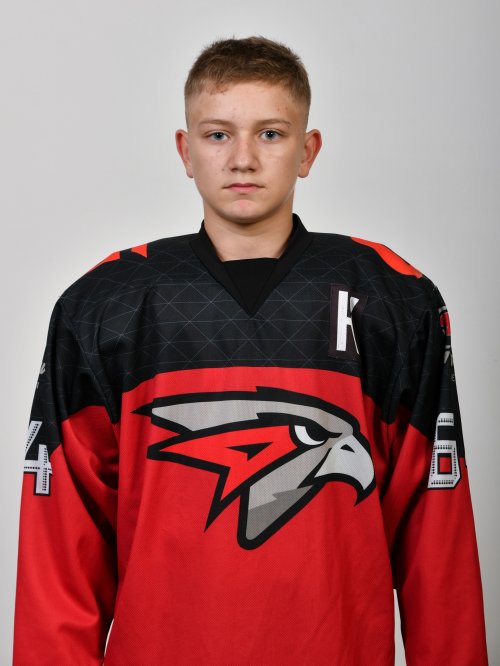 Чикин  Роман  Александрович