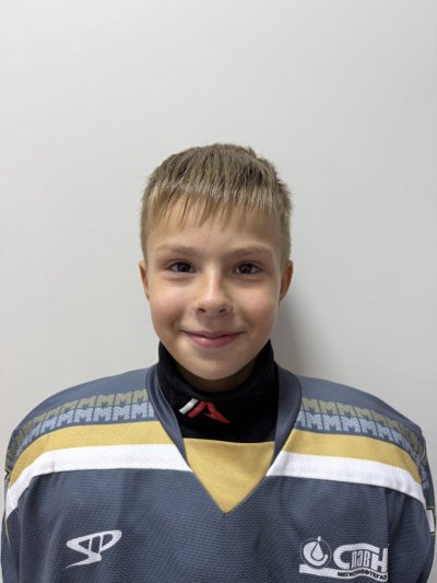 Поротников  Даниил  Александрович