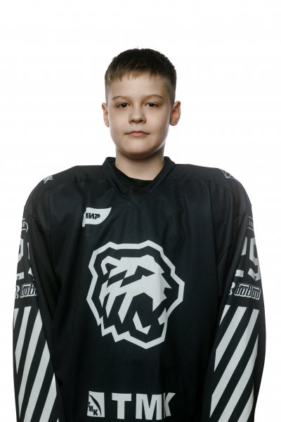 Воробьев  Илья  Александрович
