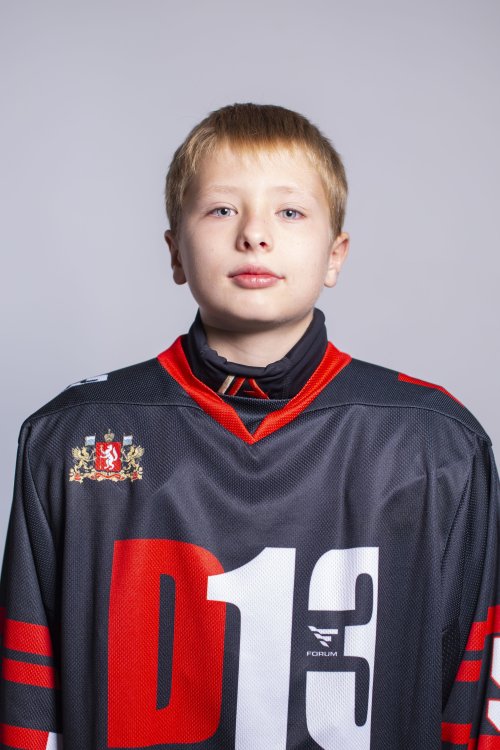 Губин  Александр  Михайлович