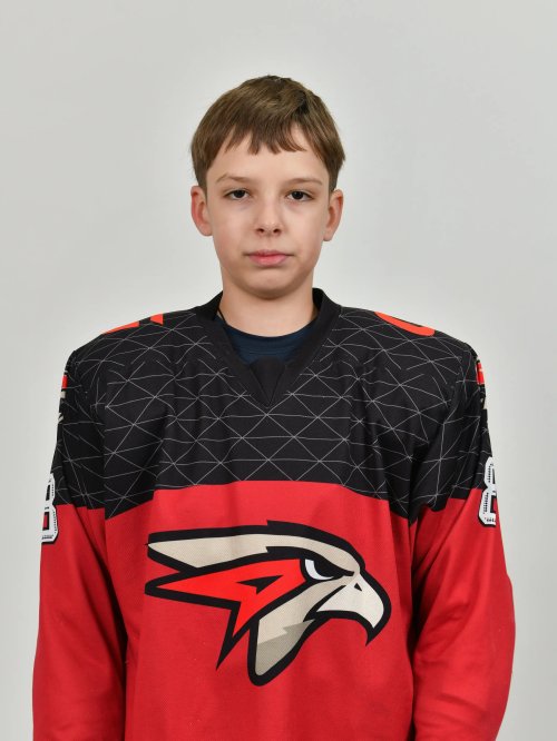 Лейнвебер  Арсений  Александрович