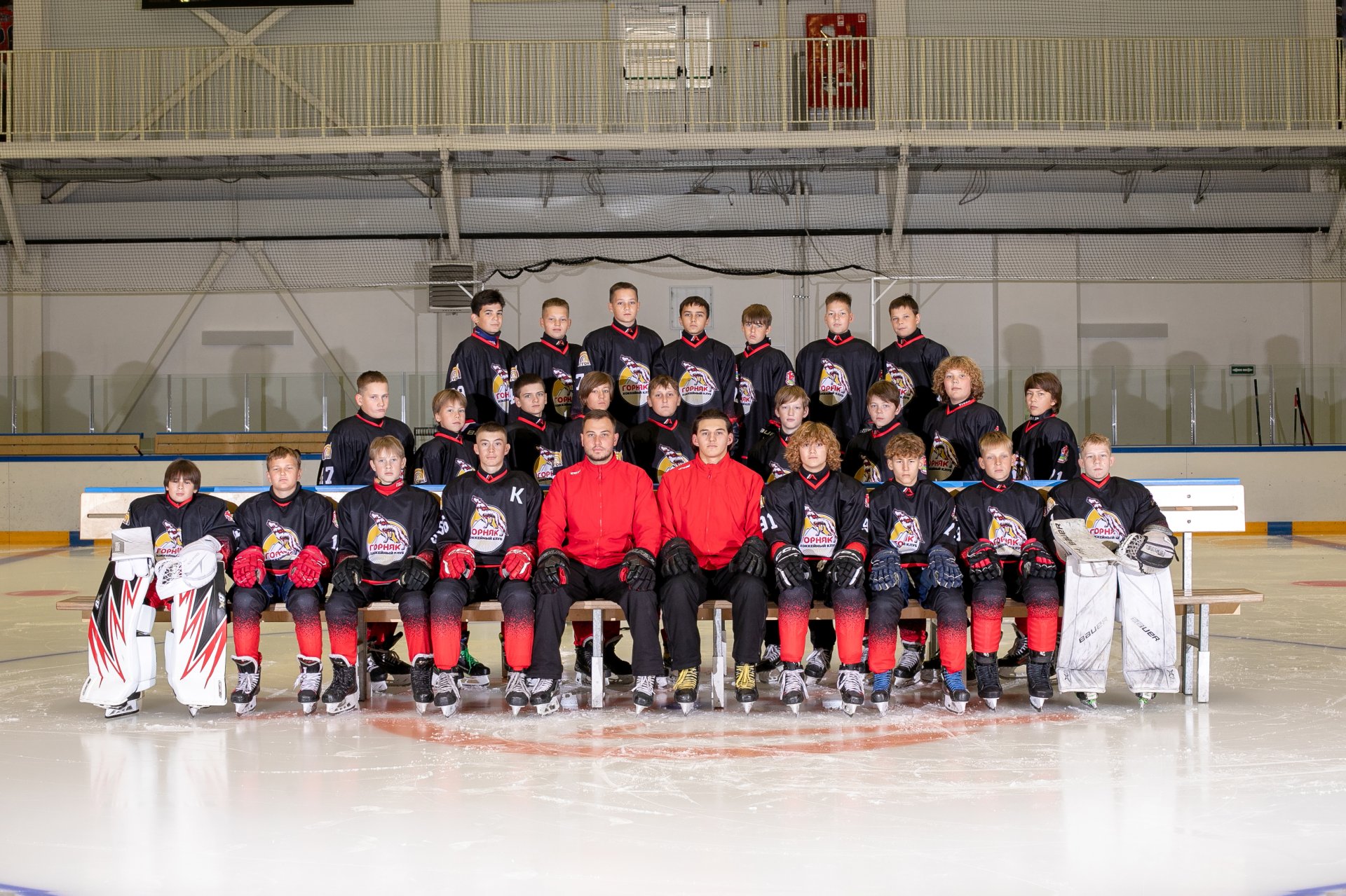 Горняк (2013) Гай